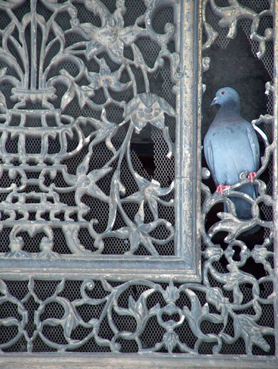 inde