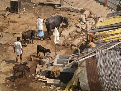 inde