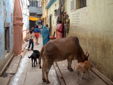 inde