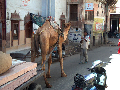 inde