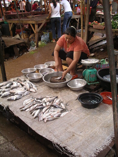 laos