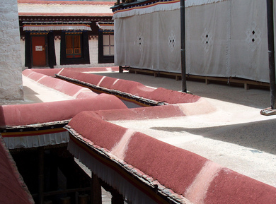 tibet